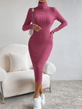 Turtleneck Long Sleeve Midi Sweater Dress