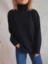 Turtleneck Long Sleeve Sweater